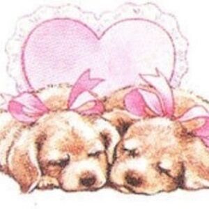 Meet your Posher, Jaleesa